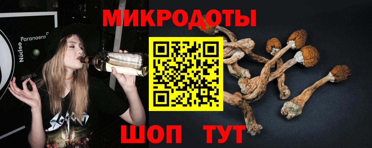 Псилоцибиновые грибы Magic Shrooms Баксан